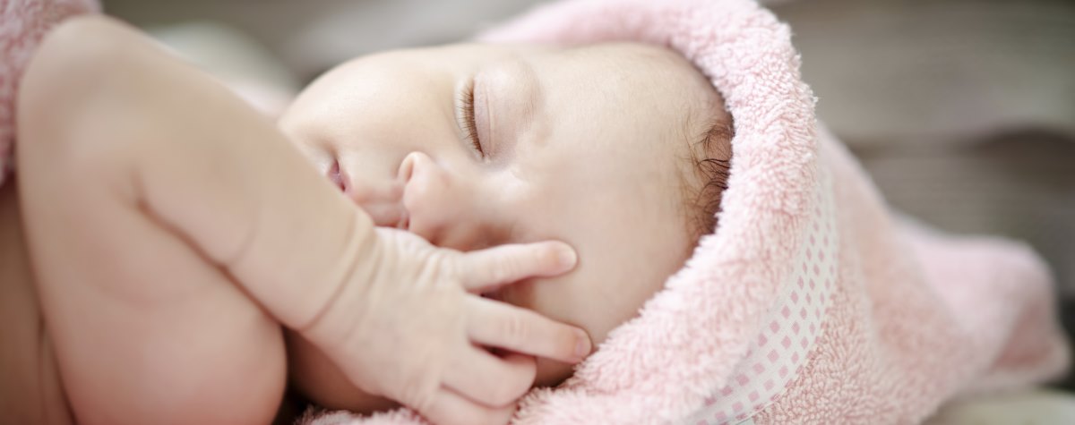 banner-2.jpg - 51.79 kB