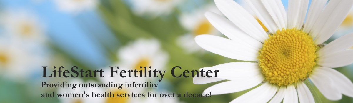 banner-4b.jpg - 169.25 kB